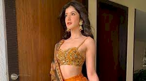 Shanaya Kapoor takes 'look inspo' from Alia Bhatt's character Rani Chatterjee for her pics in a pretty chiffon saree